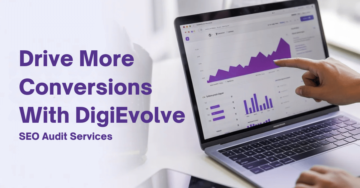 DigiEvolve SEO audit services